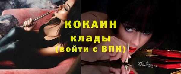 индика Липки