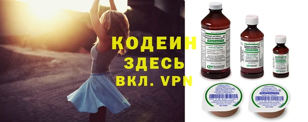 индика Липки