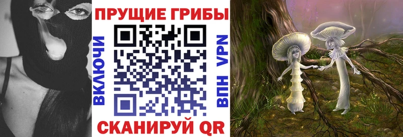 Псилоцибиновые грибы Psilocybine cubensis  хочу наркоту  Урай 