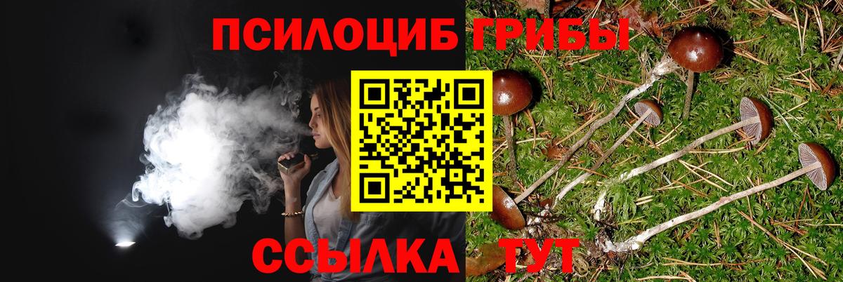 Урай  Псилоцибиновые грибы мухоморы  Вход с VPN  Галлюциногенные грибы мухоморы 