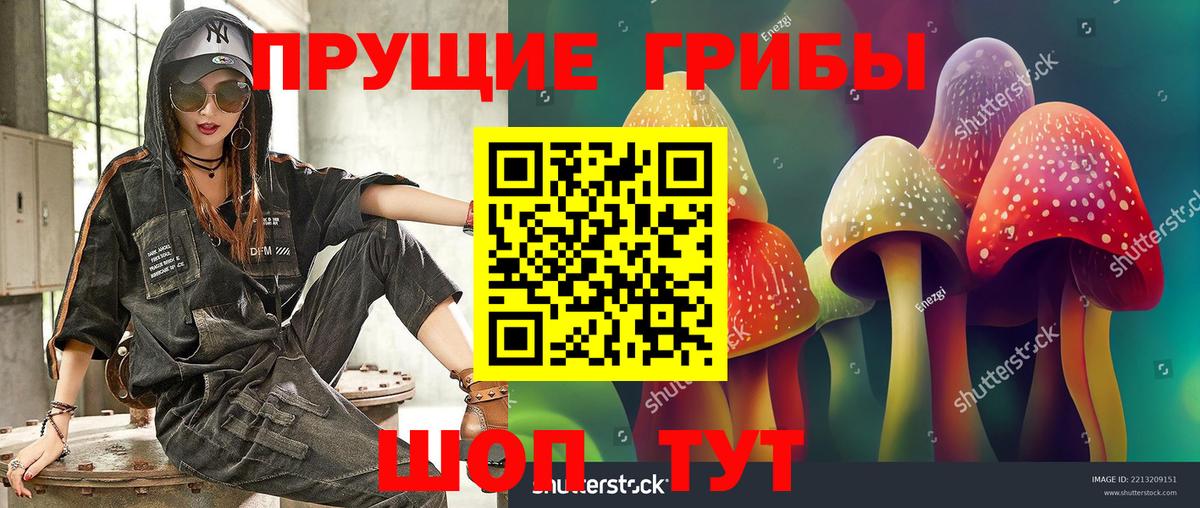 Псилоцибиновые грибы Cubensis Урай